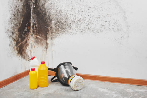 Best Mold Testing  in Shawnee, KS