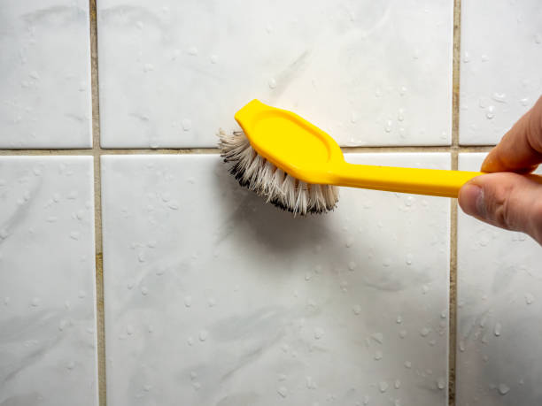 Best Certified Mold Removal  in Shawnee, KS